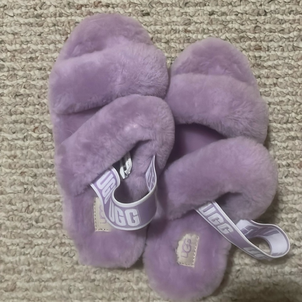 Purple Uggs